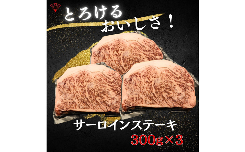 仙台名物！極上2種の牛肉ギフトセット（牛たん・仙台牛）