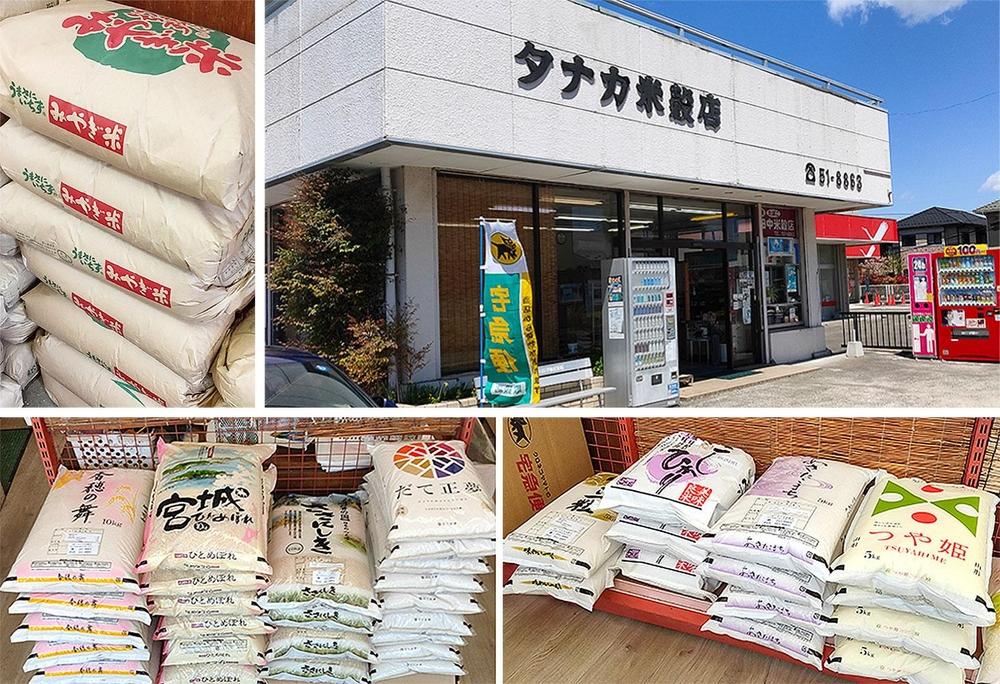 【ささにしき】新米 令和7年度産 精米 5kg（5kg×1袋）宮城県産【米 お米 こめ コメ ご飯 ごはん】