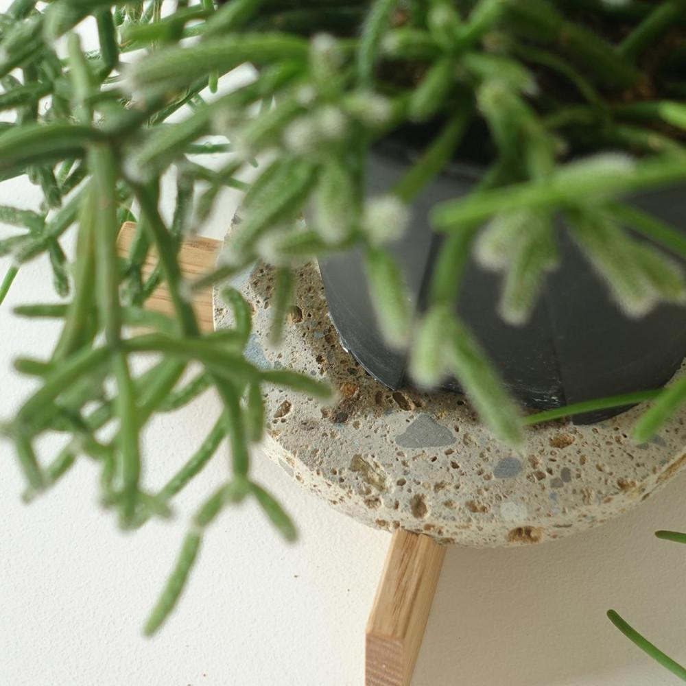 センダイフォルム プランツコースター ブラック【雑貨 日用品 観葉植物 植物 プランター 植木鉢  プラント 人気 仙台 コースター  インテリア 生活雑貨 癒し 空間】