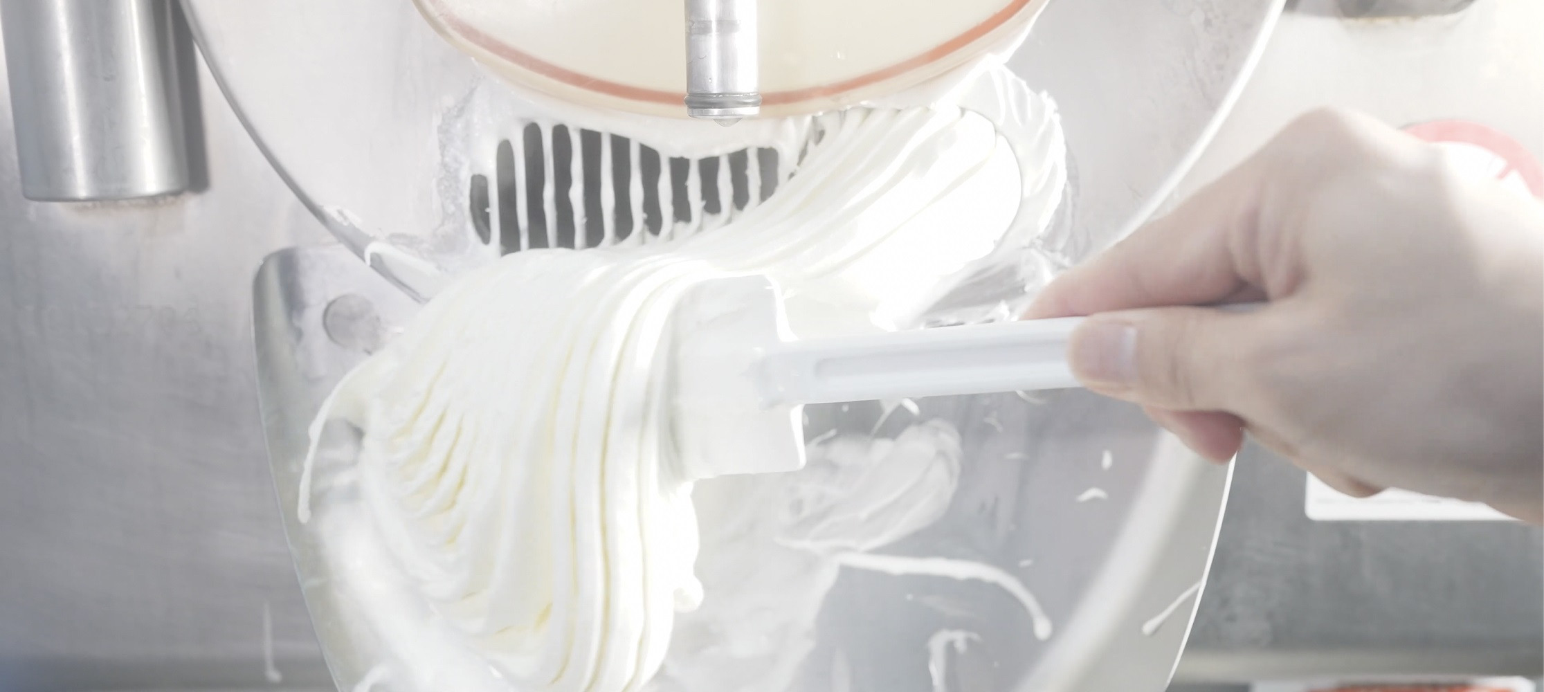 ジェラート騎士が贈る　ジェラートギフト5個セット 【菓子 アイス ヨーグルト ジェラート スイーツ デザート 乳製品 仙台 ギフト グルメ 高級 甘味 贈り物 プレゼント クリーミー】