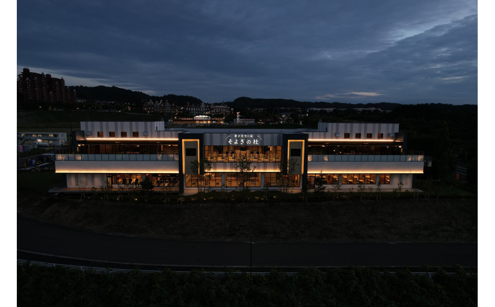 【ふるさと納税】愛子天空の湯 そよぎの杜 入館・岩盤浴無料券11枚　温泉 露天風呂 サウナ 日帰り 天然温泉 観光 旅行 旅 回数券 入浴券 仙台市　