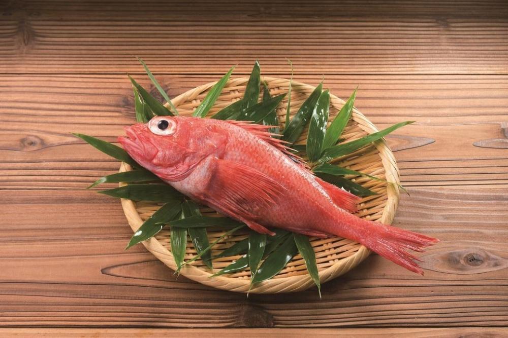 鐘崎 笹かまぼこ大漁旗特選詰合せ TI-08【練り物 魚介類 水産 食品 人気 おすすめ 】