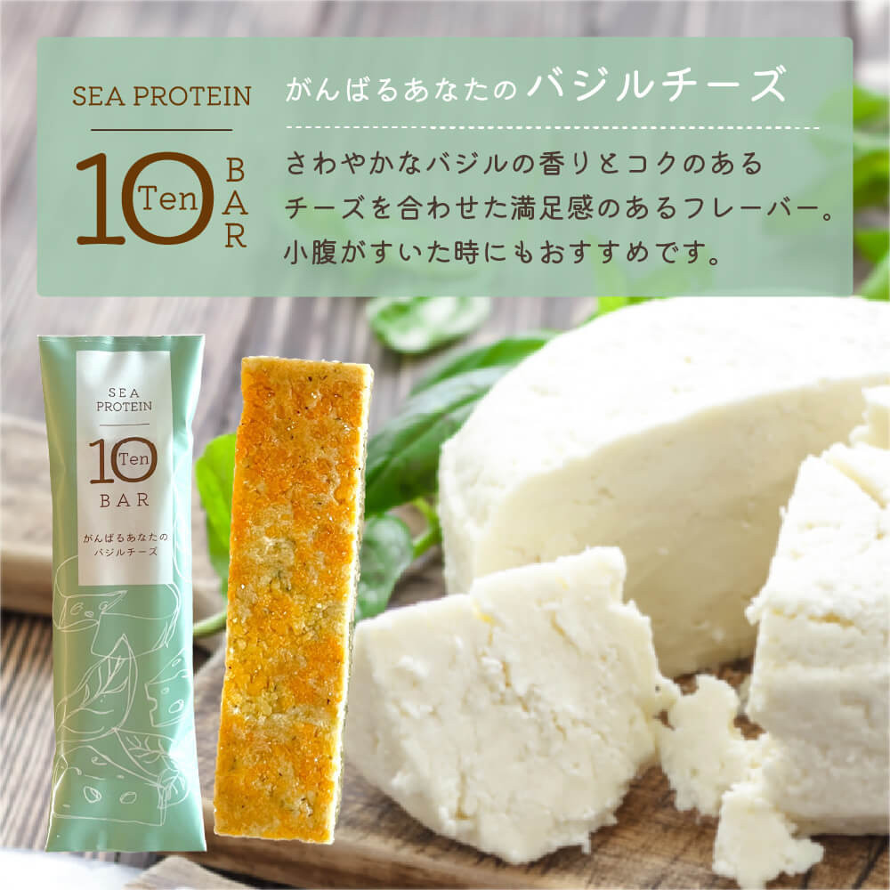 【定期便全4回】鐘崎　魚と大豆のWたんぱく質 「シープロテイン10BAR（12本セット）」４種の味を楽しめる