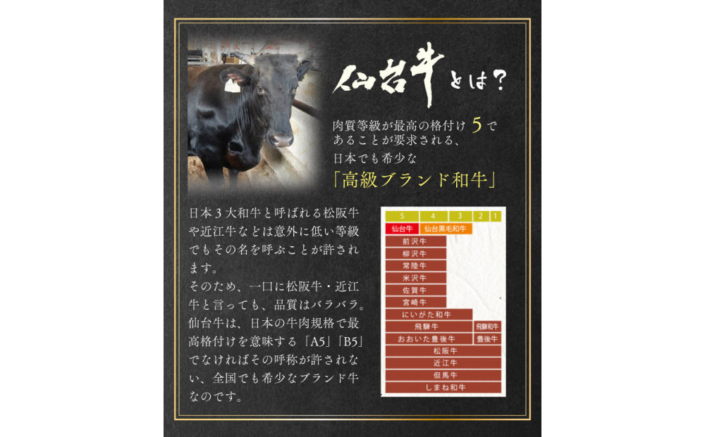肉質最高5ランク 仙台牛100%ハンバーグ120g×10個セット 1.2 kg　(ゆずぽん酢醤油付き)【肉 お肉 にく 食品 人気 おすすめ  ギフト】