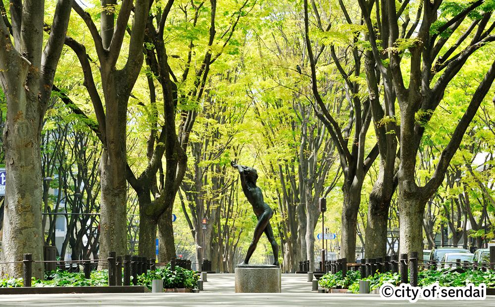 【仙台市】JTBふるさと旅行券（紙券）900,000円分【宮城県 仙台市 トラベル 宿泊 予約 人気 おすすめ】