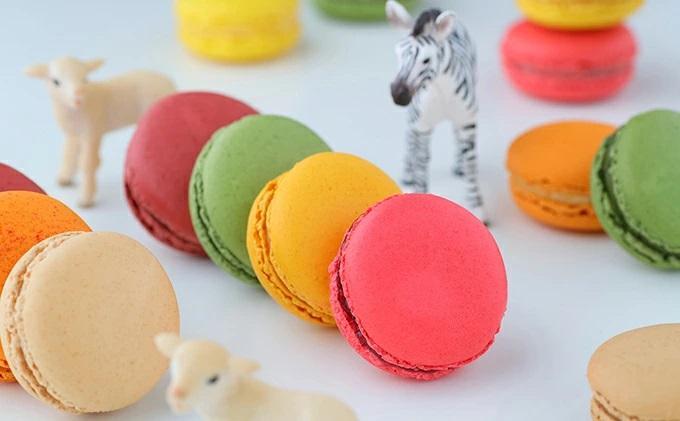 【12月数量限定】【kazunori ikeda individuel】マカロン20個入り お菓子・スイーツ・マカロン