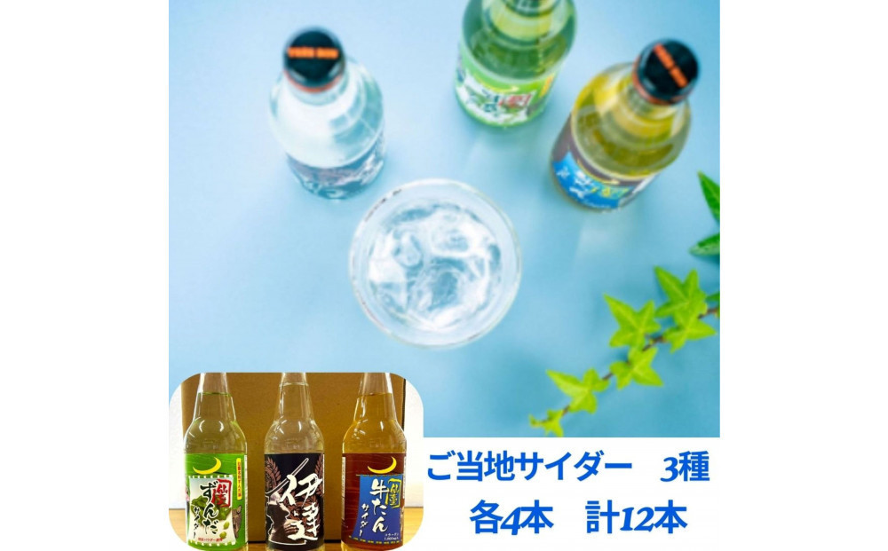 【個性派】ご当地サイダー　牛たん・ずんだ・伊達サイダー340ml計12本詰合わせセット