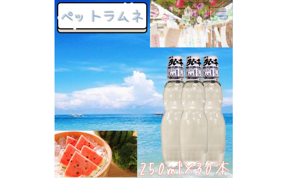 【なつかしい味】ペットラムネ（250ml×30本）