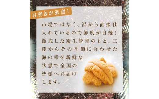 宮城県産 塩水 生うに 160g（80g×2） 宮城県産 生ウニ 生雲丹 