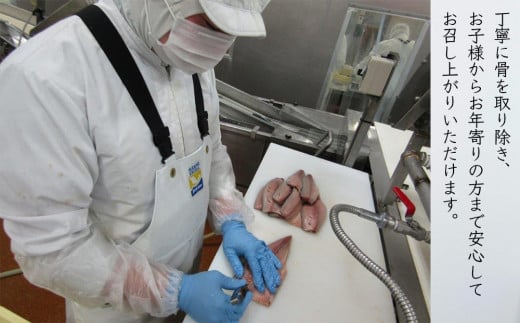 金華さばフィレ 骨取り (個包装) 5枚 冷凍 個包装 小分け 金