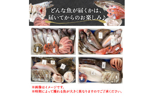 鮮魚 詰め合わせ 2～3kg（4～5種）下処理済み 漁師直送! 宮城