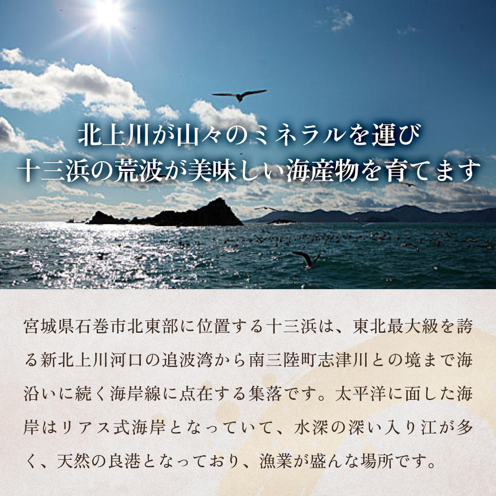 十三浜 浜だより 海藻 6種7品 塩蔵わかめ 早煮こんぶ とろろ