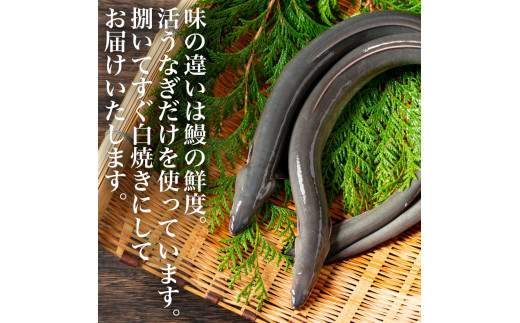 うなぎ 鰻 白焼き鰻 お店の味を楽しめる 国産うなぎセット 