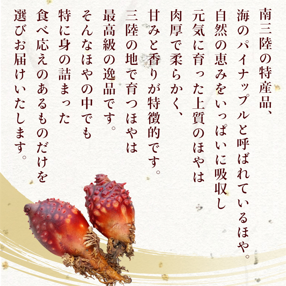 ホヤ 宮城県産 ほや尽くしお試し5点セット 食べ比べ ほや塩