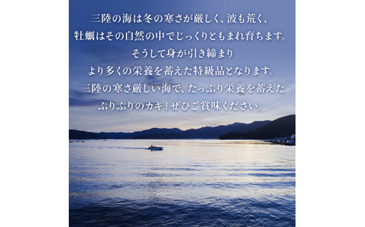 牡蠣むき身 500g 殻付き牡蠣 6個 お楽しみセット 牡蠣 かき 