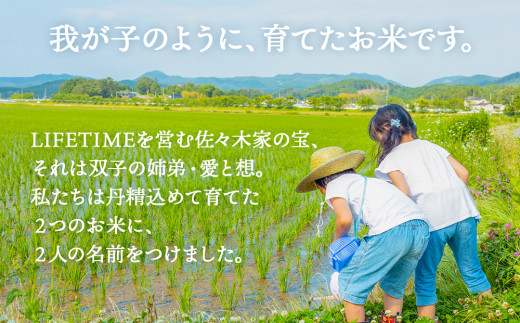 米 ササシグレ 玄米 25kg 農薬不使用 化学肥料不使用 ささし