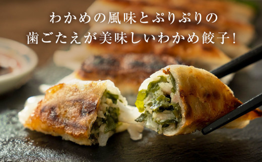 わかめ餃子　48個セット
