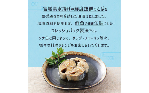 サバ缶 缶詰 ＜数量限定＞ サラダサバ 8缶 さば サバ 鯖 saba 
