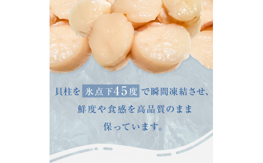 【先行予約】ホタテ貝柱 1kg ＜数量限定＞ 宮城県産 ほたて 