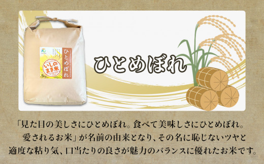 宮城県いしのまき産米「令和7年産ひとめぼれ」（精米）5kg