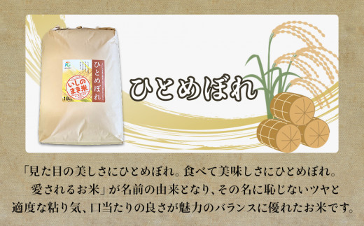 宮城県いしのまき産米「令和7年産ひとめぼれ」（精米）10kg