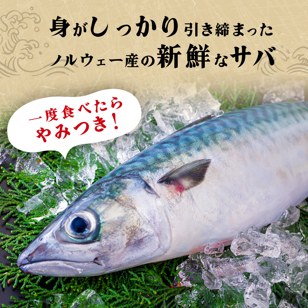 訳あり 無塩 サバフィレ 2kg さばフィレ  鯖フィレ サバフィ