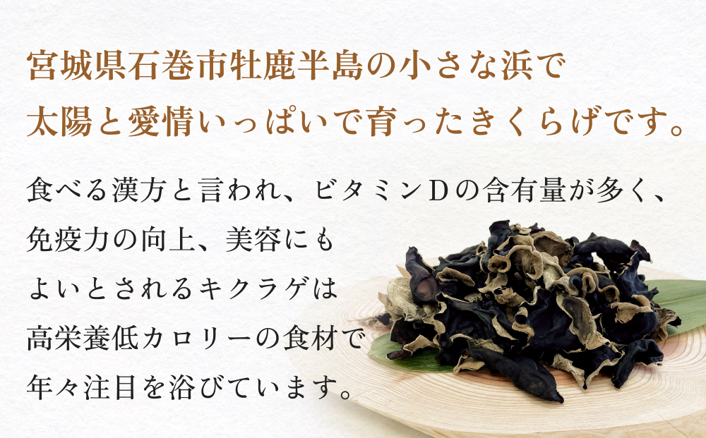 漁師がつくる金華きくらげ（乾燥）お楽しみセット（小）