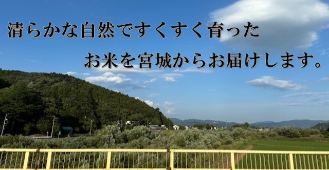 米 つや姫 令和7年産 玄米 30kg 新米 宮城県産 石巻市 こめ コ