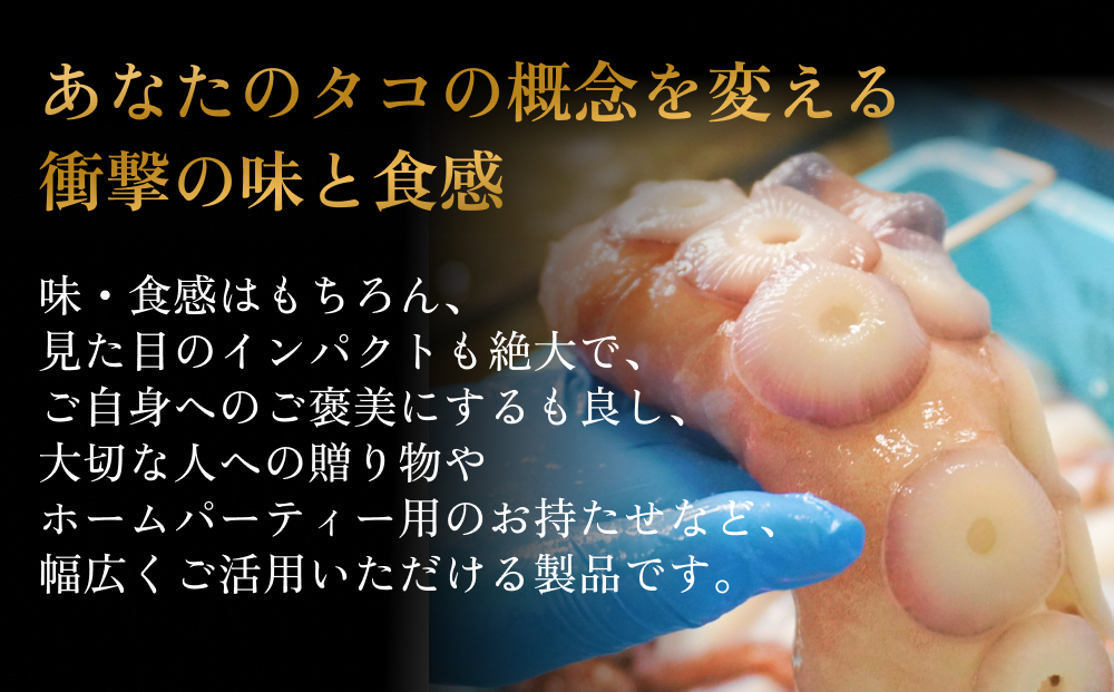 活タコ 炙り焼き 一本足 定期便 隔月 2回 タコ たこ 直火焼