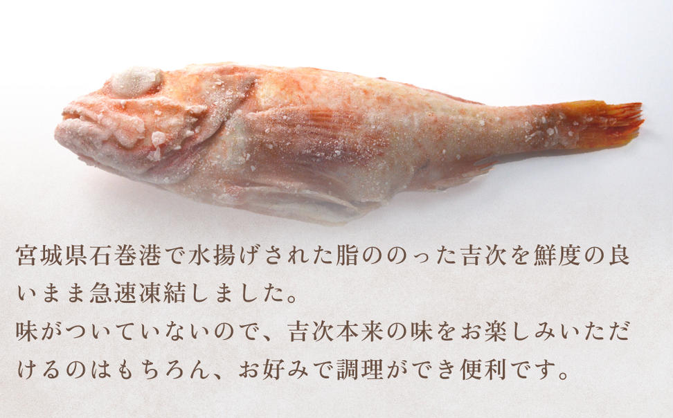 冷凍きちじ(きんき)　5尾 吉次 キンキ 魚 煮物 塩焼き 素揚