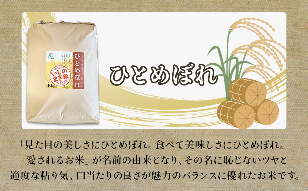 令和６年産 米 ひとめぼれ 定期便 10kg × 10回 お米 精米 白米