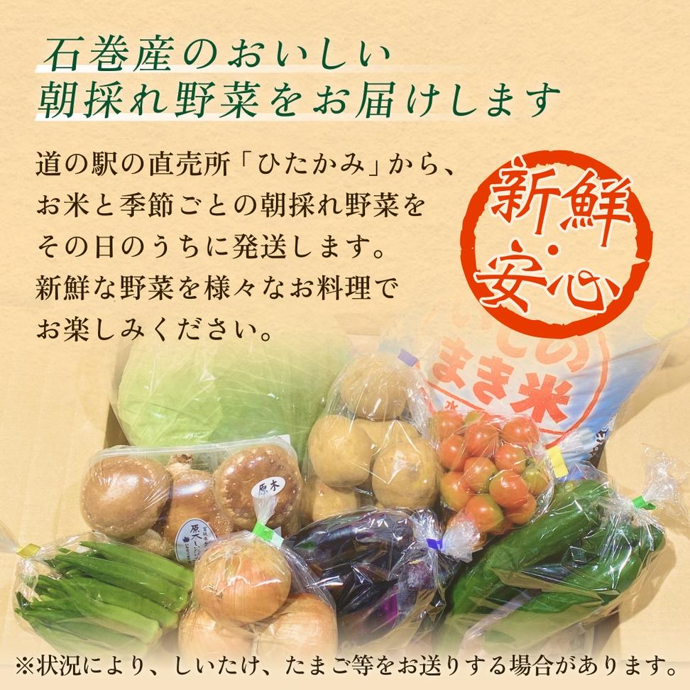 石巻産 お米と季節の野菜セット 朝採れ 旬の野菜 季節の野