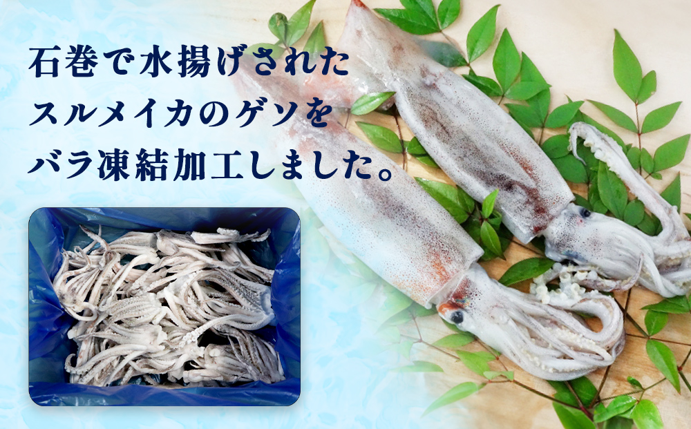 石巻市産スルメイカゲソ１kg 冷凍 国産 スルメイカ いか 下