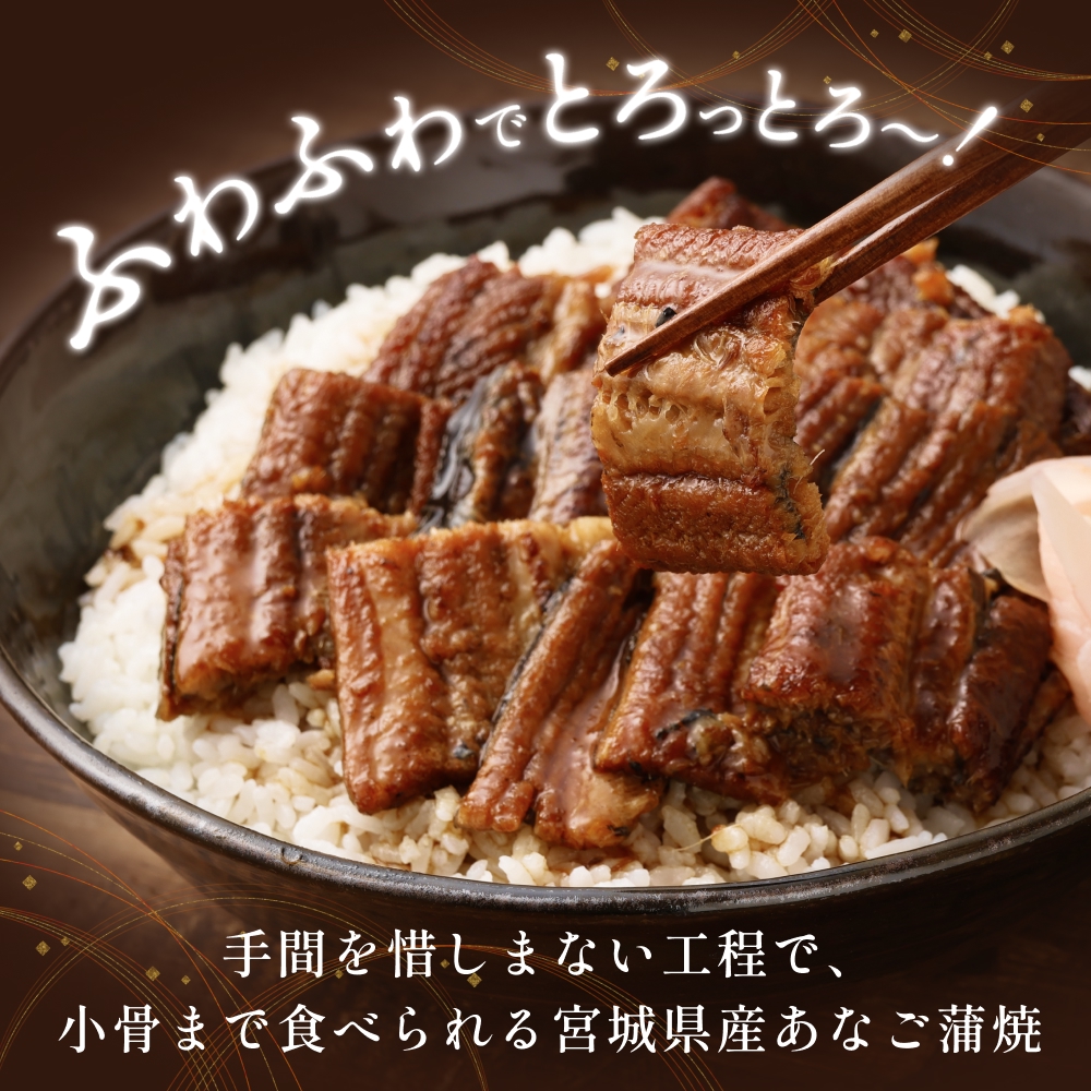 宮城県産あなご蒲焼（1食）12入 冷凍 小分け 穴子 アナゴ 蒲