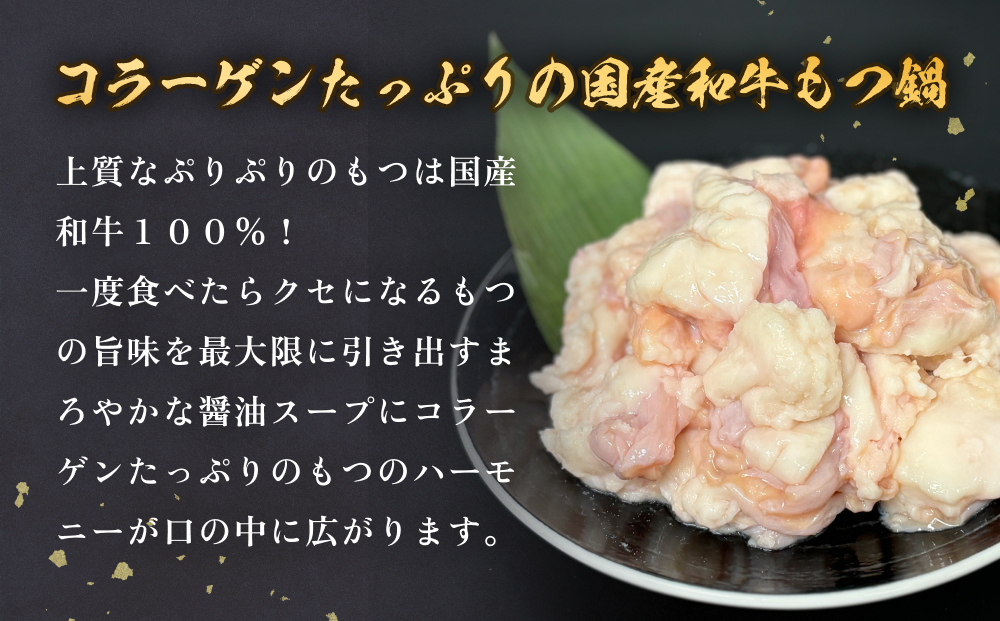 国産和牛もつ鍋２人前 ２回分 冷凍 スープ付 モツ ホルモン