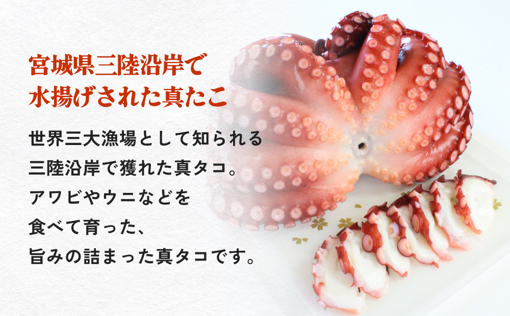 真たこ ボイル  約1kg 蛸 たこ タコ ボイル済み 冷凍 小分け C