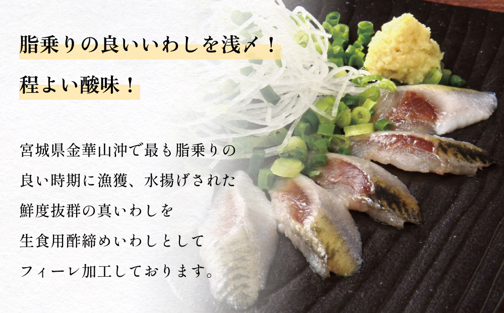 とろ金華いわし酢〆フィーレ 500g 金華いわし 鰯 いわし イ