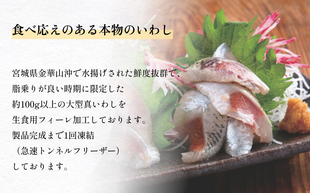 大とろ金華いわしフィーレ 500g 金華いわし 鰯 いわし イワ