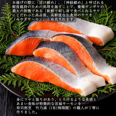 銀鮭焼き（5個セット）冷凍 さけ シャケ サケ 鮭 銀ざけ 銀