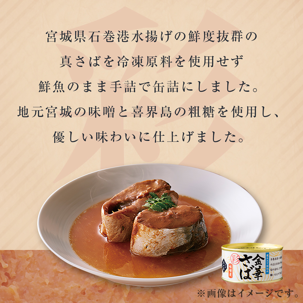 サバ缶 金華さば 味噌煮 ＜彩＞ 170g 12缶 セット さば サバ 