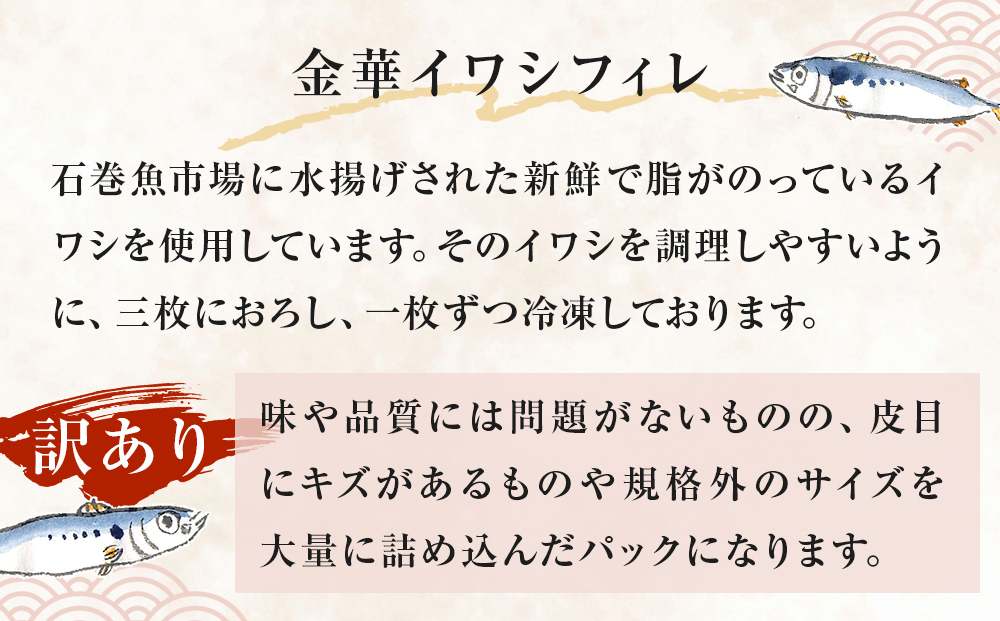 訳あり 金華 イワシ フィレ 1.5kg ( 500g × 3P ) 宮城県産 いわし