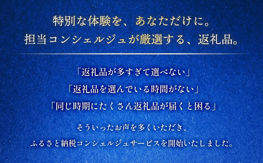 石巻 コンシェルジュプラン 30万円コース おまかせ 返礼品 