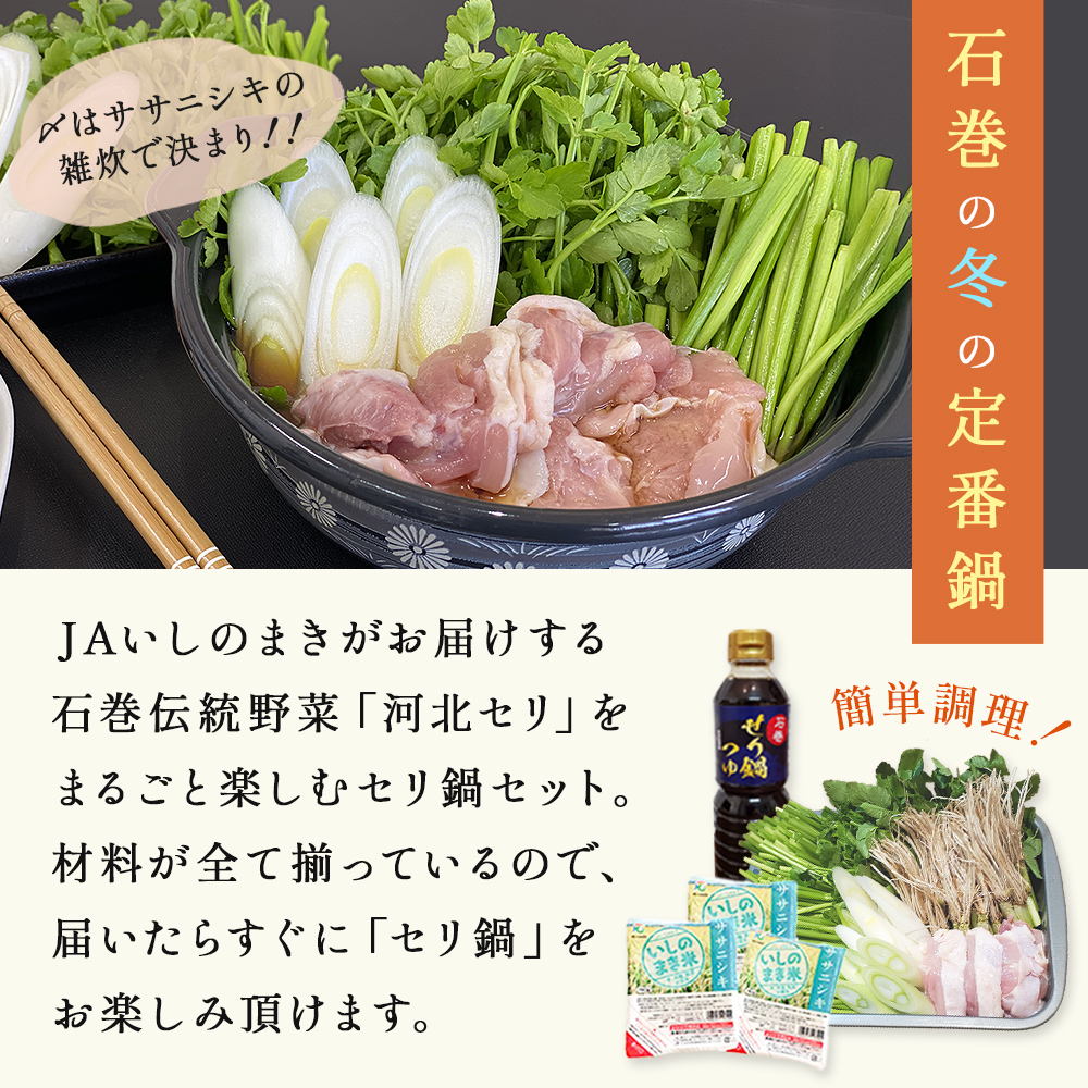 ＜1月配送＞ せり鍋セット せり5束 3-4人前 河北せり 鍋 せり