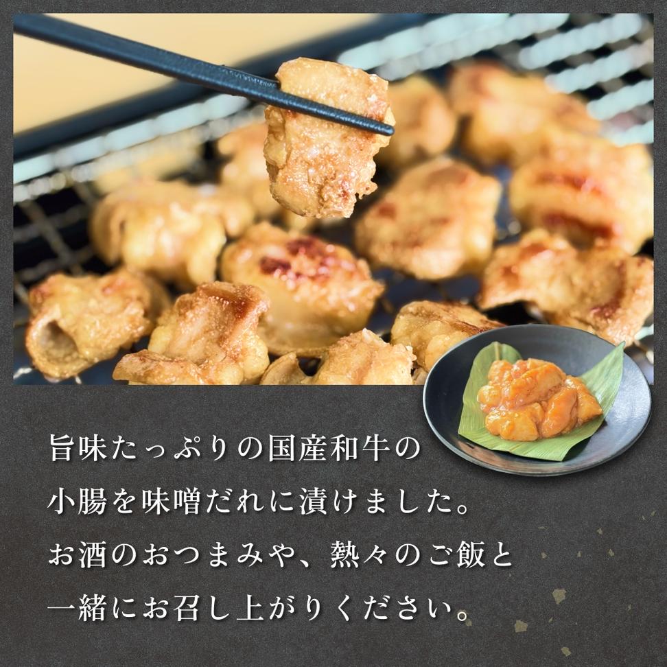 国産和牛 味噌 ホルモン 6P 味噌ホルモン 牛ホルモン 小腸 