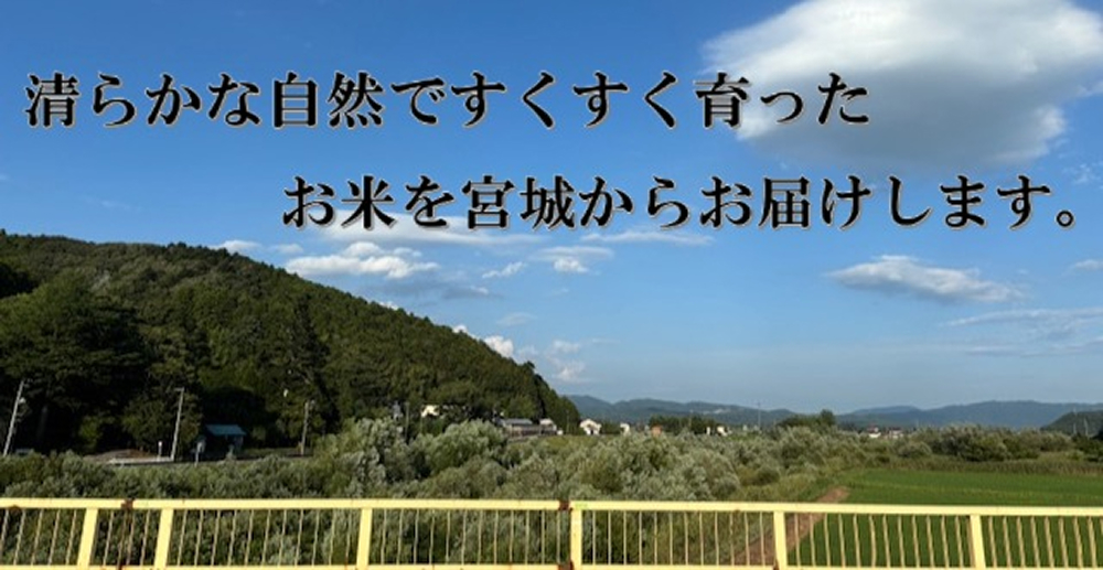米 令和7年産 ササニシキ 精米 5kg 新米 お米 ごはん ご飯 飯 