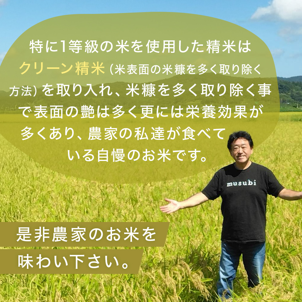 米 新米 ひとめぼれ 環境保全米 10kg お米 ご飯 こめ コメ お