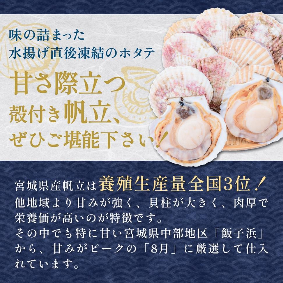 【冷凍・生食用】 殻付き帆立 10枚 帆立 ホタテ ほたて 殻付