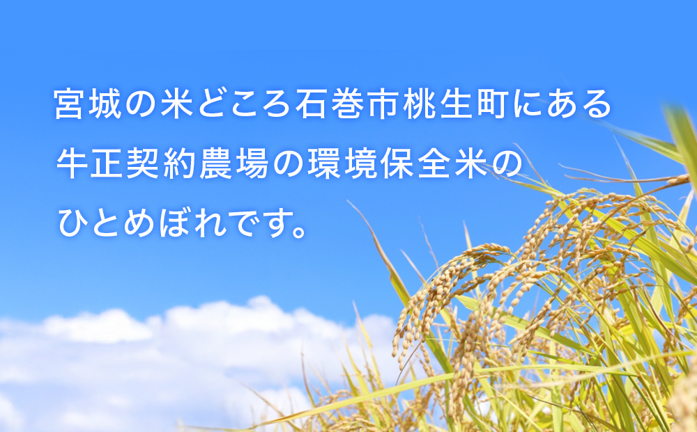 R7年産 ひとめぼれ ５kg 米 お米 ご飯 ヒトメボレ 石巻市