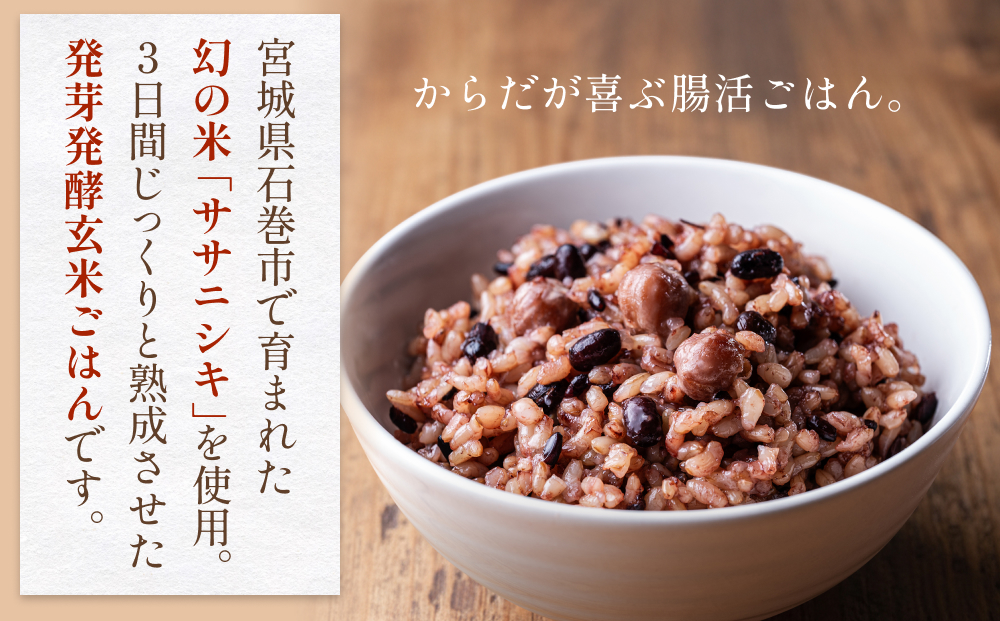 【常温】3日熟成発芽発酵玄米ご飯パック 12食 幻の米@石巻