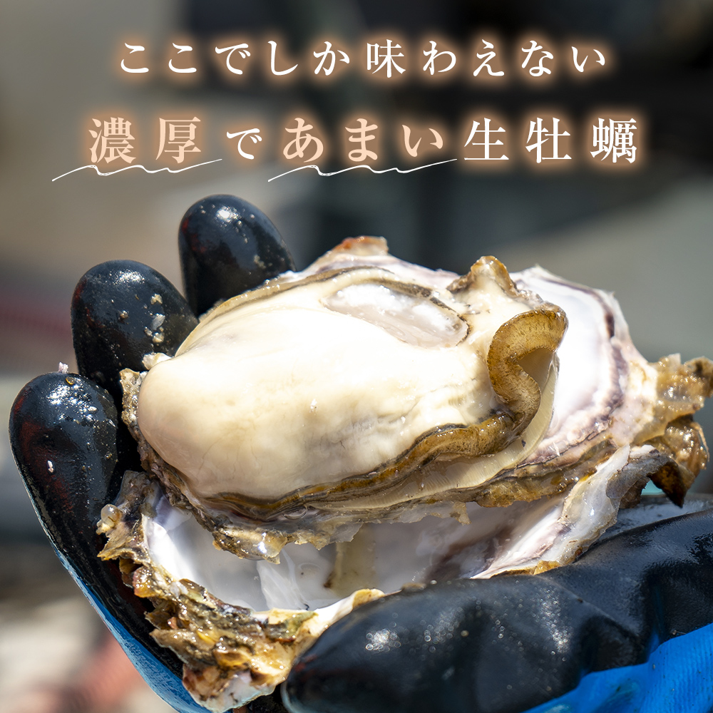 牡蠣 殻付き 生食 可 15個（5個入×3袋） 宮城県産 冷凍 小分